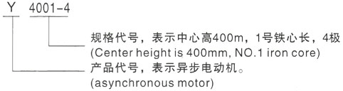 西安泰富西玛Y系列(H355-1000)高压YE2电机生产厂家三相异步电机型号说明